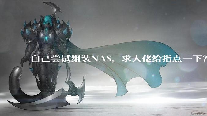 自己尝试组装NAS，求大佬给指点一下？