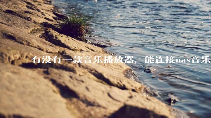 有没有一款音乐播放器，能连接nas音乐，创建音乐库，自动匹配歌词封面等等？类似infuse的概念呢？