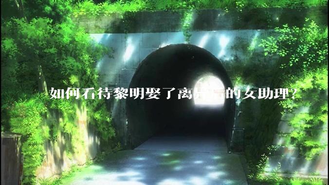 如何看待黎明娶了离异后的女助理？