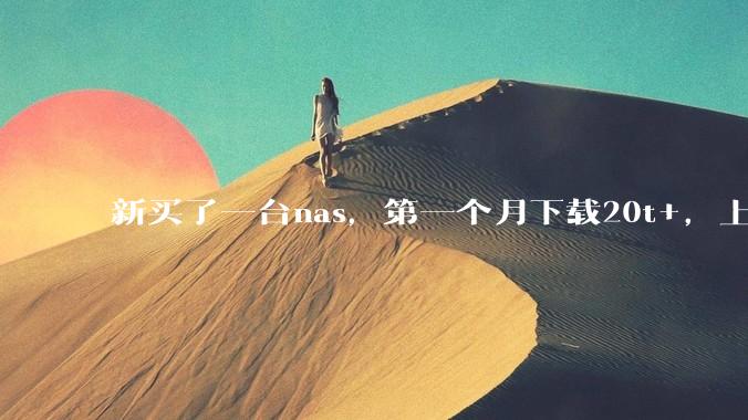 新买了一台nas，第一个月下载20t+，上传5+，不会被网警盯上吧?
